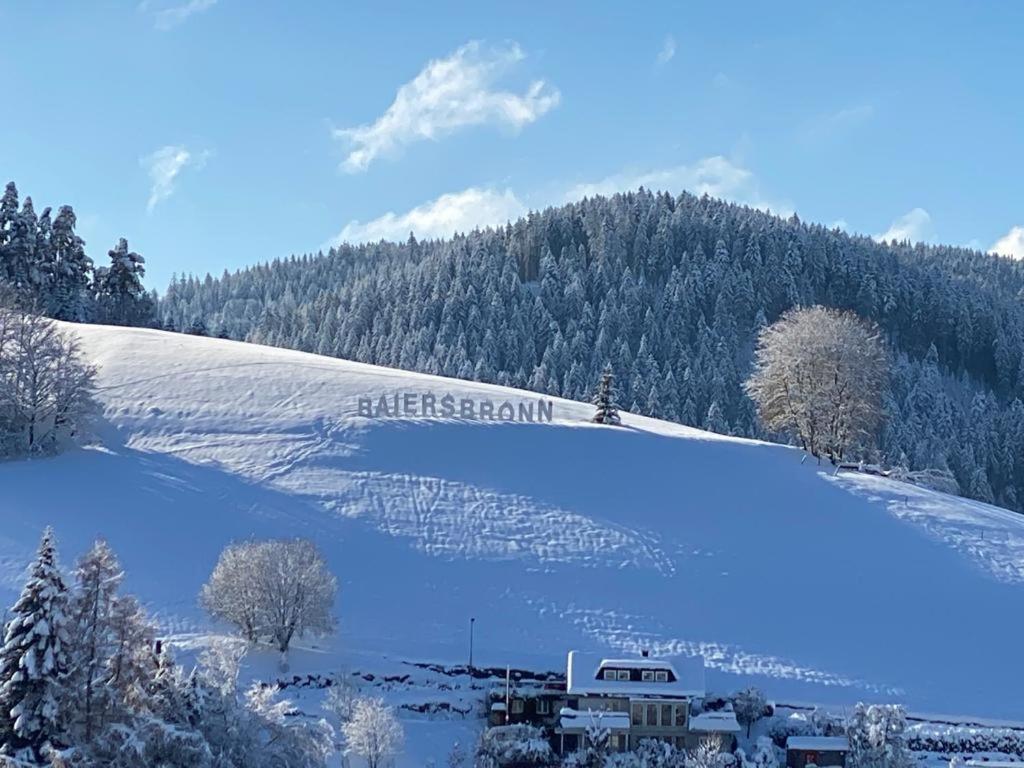 Hotel Hirsch Baiersbronn Exteriér fotografie